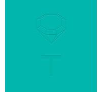 Diamond Terrifier - The Subtle Body Wears A Shadow [Vinilo]