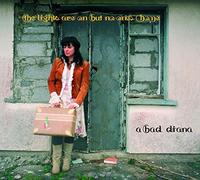 Diana Rogerson (A Bad Diana) - The Lights Are ON But No Ones Home