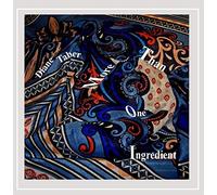 Diane Taber - More Than One Ingredient