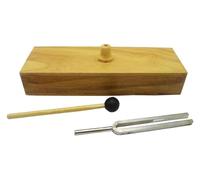 Diapasón De 256 Hz Con Caja Resonancia Madera, Kit Experimento Acústica, Acero 45# For Generación Sonido, Conducción Ondas