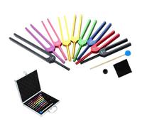 Diapasón Juego de diapasones coloridos 174/285/396/417/528/639/741/852/963Hz con caja aluminio martillo for sonido