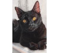 Diary 2025-2026 - Academic Diary Week to View A5 Black Cat: September 25 to August 26 Mid Year Planner. 108 pages and glossy cover. Perfect gift for student or cat lover