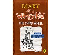 Diary of a Wimpy Kid book 7