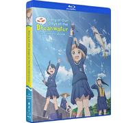 Diary Of Our Days At The Breakwater: The Complete Season [USA] [Blu-ray]