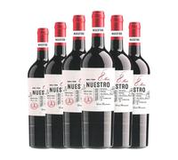 Díaz Bayo Nuestro 8 Meses Tempranillo Ribera del Duero 75 cl Vino tinto (Caja de 6 Botellas de 75 cl)