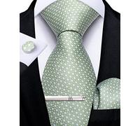 DiBanGu Conjunto de corbata de seda a rayas para hombre, corbata a cuadros con pañuelo de bolsillo, gemelos y clip de corbata para boda formal, verde salvia, Talla única