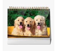 Dibujo de perro Cocker Spaniel inglés, retrato, calendario 2026, calendarios de escritorio para agricultores