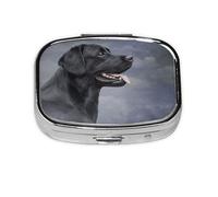 Dibujo de perro labrador, pastillero Meta con 2 compartimentos, organizador portátil
