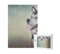 Dibujo de un Retrato de un Perro Malamute de Alaska,Rompecabezas de Madera de 300 Piezas para Adultos y Adolescentes.