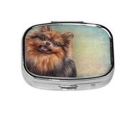 Dibujo Perro Pomerania Alemana Retrato, Pastillero cuadrado para bolsillo o monedero, pequeño contenedor de pastillas, organizador de pastillas de viaje