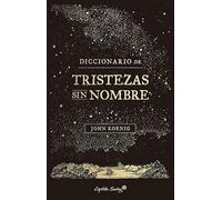 Diccionario de Tristezas sin nombre (Ensayo)