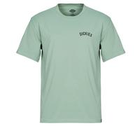 Dickies Camiseta DICKIES SNAKE SS TEE in Verde EU M