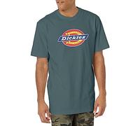 Dickies Camiseta gráfica de Manga Corta con Logotipo Tricolor para Hombre, Lincoln Verde, X-Large