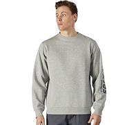 Dickies Hombre, Sudadera con estampado gráfico Okemo (BCI), GRIS MELANCA, L