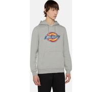 Dickies Icon Logo Sudadera con capucha DK0A4XCB XXL