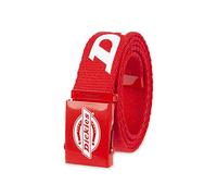 Dickies Men's Cotton Web Belt