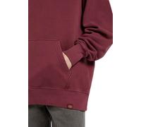 DICKIES - Men's winter Plentywood hoodie