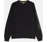 Dickies Hombre, Sudadera con estampado gráfico Okemo (BCI), negro, XXL