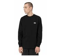 Dickies Sudadera sin Capucha Hombre Summerdale Blanco - Marca EAN: 0196246879217 - Talla: M