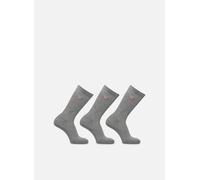 Dickies Valley Grove 39 - 42 Gris