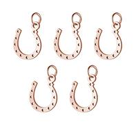 DICOSMETIC 5 pieza de Acero Inoxidable Oro Rosa En Forma de U Colgante de Herradura de la Suerte Caballo Strirrup Lariat Pendnat Regalo Ecuestre para Hacer Pulseras Collares Y Pendientes