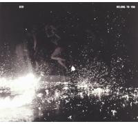 Did - Belong to You