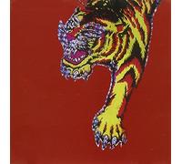 Did You Hear That We Fucked by New Terror Class (2003-12-25)