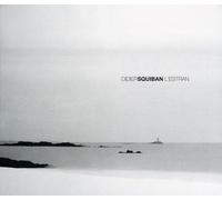 Didier Squiban - L'Estran