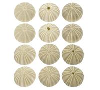 Didiseaon 18 Piezas Conjunto de Conchas de Erizo de Mar Verdes para Manualidades y Decoración de Jarrones Adornos Artísticos para Acuarios Paisajismo y Ambientes Cálidos el Hogar