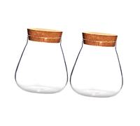 Didiseaon 2 Piezas Jarrones Decorativos de Vidrio Transparente con Tapón de Corcho Botellas Ecológicas para Plantas y Terrarios para Decoración de Hogar y Regalo