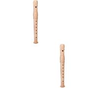 Didiseaon 2piezas Flauta Infantil Para Niño Niña Instrumento Musical Para Principiantes y Desarrollo Musical Casa