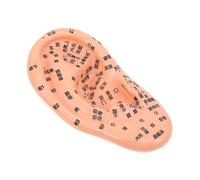 Didiseaon 3 Piezas De Modelo De Oreja Detallado De Chocolate Pvc Suministros De Laboratorio Área De La Oreja Para La Escuela De Masajes