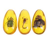 Didiseaon 3piezas Resin Specimen Decorativo De Insectos Naturales Para Manualidades Joyería y Educación Infantil