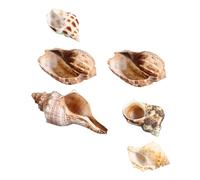 Didiseaon 6 Piezas De Conchas Marinas para Manualidades Decoración Mediterránea Conchas Marinas Decoración para Fiestas Suministros De De Cangrejo Decorativas