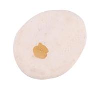 Didiseaon 6piezas Conchas Naturales de Erizo de Mar Color Crema Decorativas para Bodas y Hogar Accesorios Marinos Ecológicos para Manualidades y Decoración Náutica