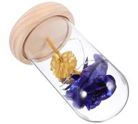 Didiseaon Adorno de Flor Preservada Luz LED Azul, Cubierta de Vidrio Rosa Artificial, Decoración para Hogar y Oficina sin Batería, Flor Inmortal Decorativa