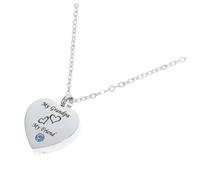 Didiseaon Colgante Conmemorativo De Acero Inoxidable Joyas De Cremación Forma De Corazón para Cenizas para Conmemoraciones y Guardar Recuerdos De Mascotas o Queridos