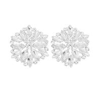 Didiseaon Hebillas para Zapatos de Boda y Banquete, 2 Piezas Cristales de Imitación en Forma de Flor, Clip Decorativo de Aleación para Sandalias, Botas y Zapatos Planos, Accesorio Elegante