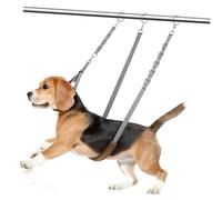 Didiseaon Juego de Aseo para Perros Correa Ajustable de Nylon Clip Giratorio 360° de Baño y Sujeción para Mascotas Material Resistente y Duradero Cuidado de Mascotas