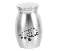 Didiseaon Urna de Metal para Cenizas de Mascotas Pequeña Resistente y Ligera Recipiente para Huesos de Perro y Gato con Tapa Atornillable Contenedor para Recuerdo y Funeral