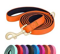 Didog Correa de nailon colorida de 5 pies para perro con acolchado suave de longitud completa, correa ligera y duradera para perros pequeños, naranja, S