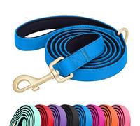 Didog Correa de nailon colorida de 5 pies para perro con acolchado suave de longitud completa, correa ligera y duradera para perros pequeños, azul, S