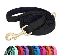 Didog Correa de nailon colorida de 5 pies para perro con acolchado suave de longitud completa, correa ligera y duradera para perros pequeños, negro, S
