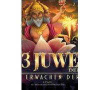 Die 13 Juwelen Der Existenz (ebook)