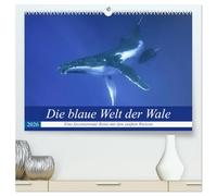 Die blaue Welt der Wale (hochwertiger Premium Wandkalender 2026 DIN A2 quer), Kunstdruck in Hochglanz: Eine fantastische Reise in die Tiefen des Pazifiks mit den gigantischen Buckelwalen