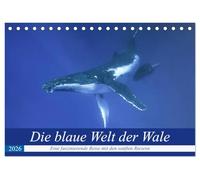 Die blaue Welt der Wale (Tischkalender 2026 DIN A5 quer), CALVENDO Monatskalender: Eine fantastische Reise in die Tiefen des Pazifiks mit den gigantischen Buckelwalen