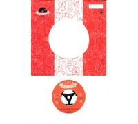 DIE BLAUEN JUNGS - DIE BLAUEN JUNGS / Auch für mich kommt die Zeit / Wenn ich wieder bei dir bin / Firmen-Loch-Hülle / Polydor # 23630 / Deutsche Pressung / 7" Vinyl Single Schallplatte