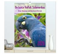 Die bunte Vielfalt Südamerikas - Aras, Amazonen und Sittiche im Portrait (hochwertiger Premium Wandkalender 2026 DIN A2 hoch), Kunstdruck in ... Portraits farbenprächtiger Papageien