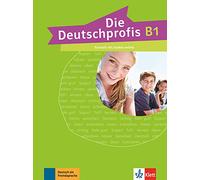 Die deutschprofis b1 cuaderno de tests: Cahier d'évaluation (SIN COLECCION)