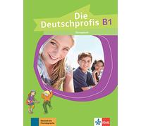 Die deutschprofis b1, libro de ejercicios: Cahier d'activités